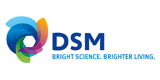 DSM NV
