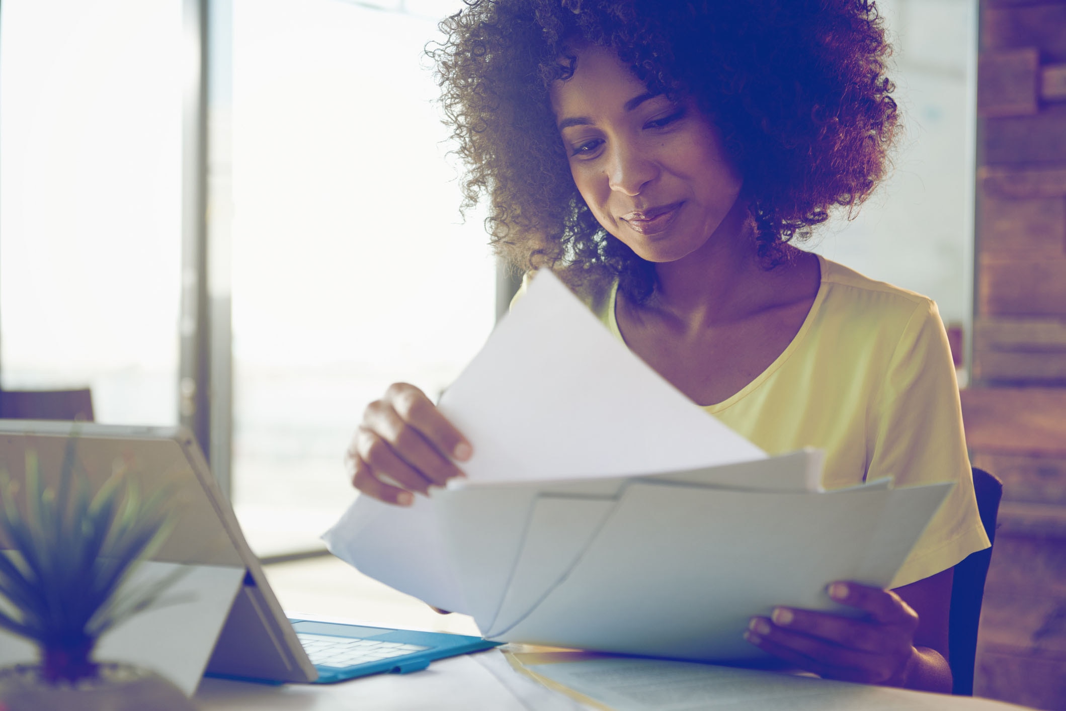 Curriculum vitae sections image